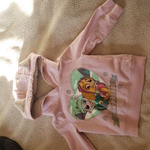 kids paw patrol hoodie. 2t